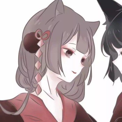 浪姐赛制